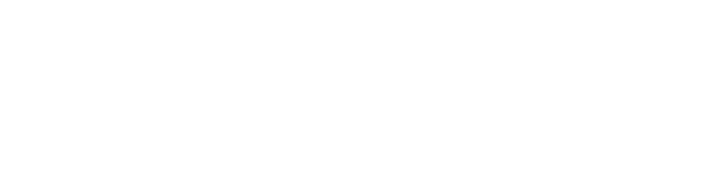 Phenix Group Solutions en Blanc